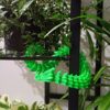 Articulated Dragon