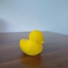 Rubber Duck
